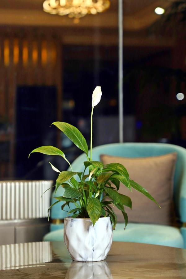 Blusalzz Residence Amritsar Exterior photo